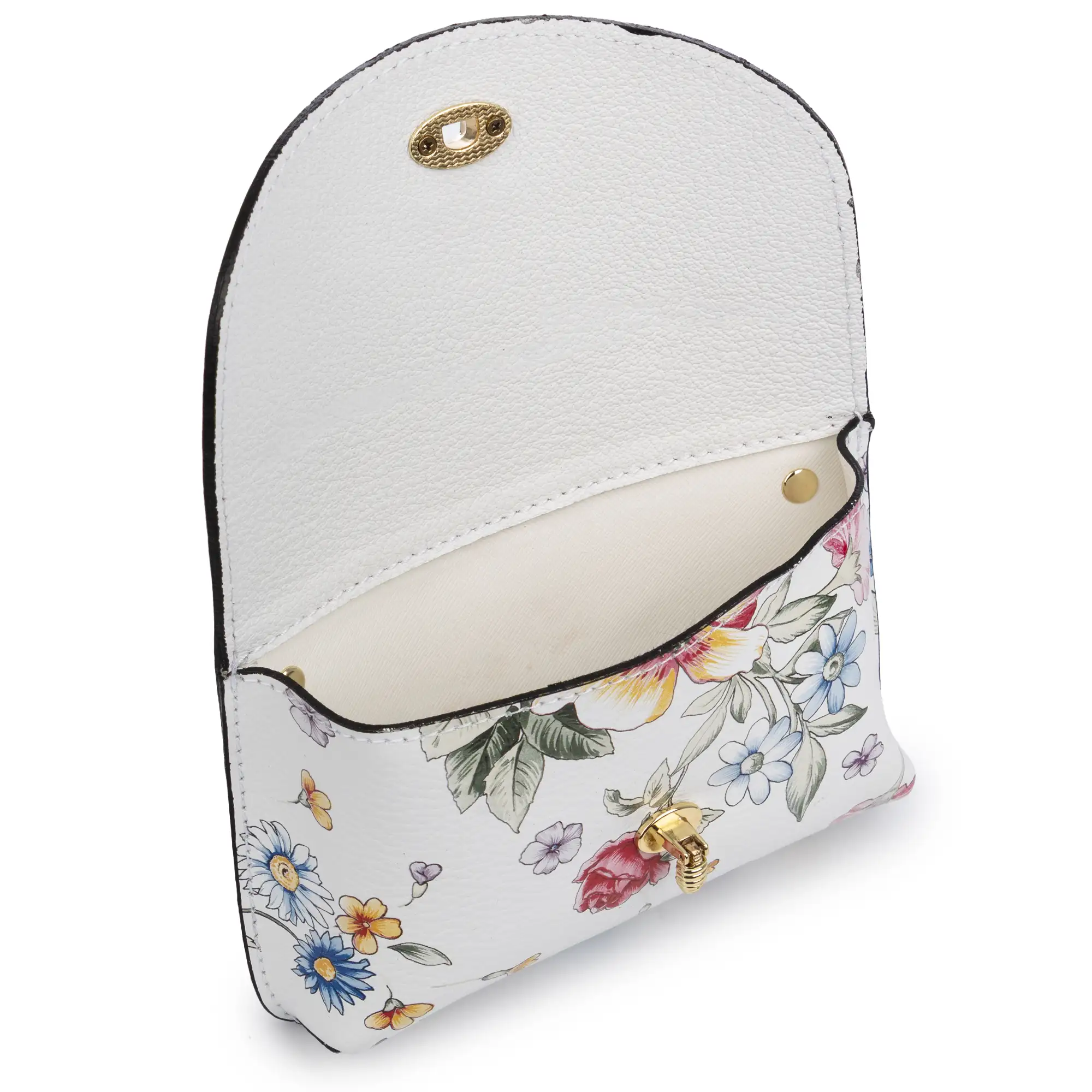 Aquilonia bolso de mano mujer. Piel auténtica acabado Dollaro estampado.